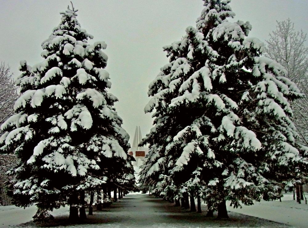 Photograph by леонид натапов