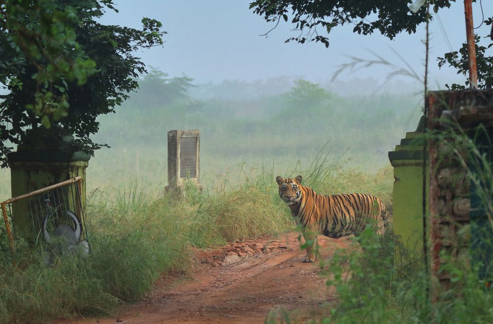 Frame me in your mind not on walls