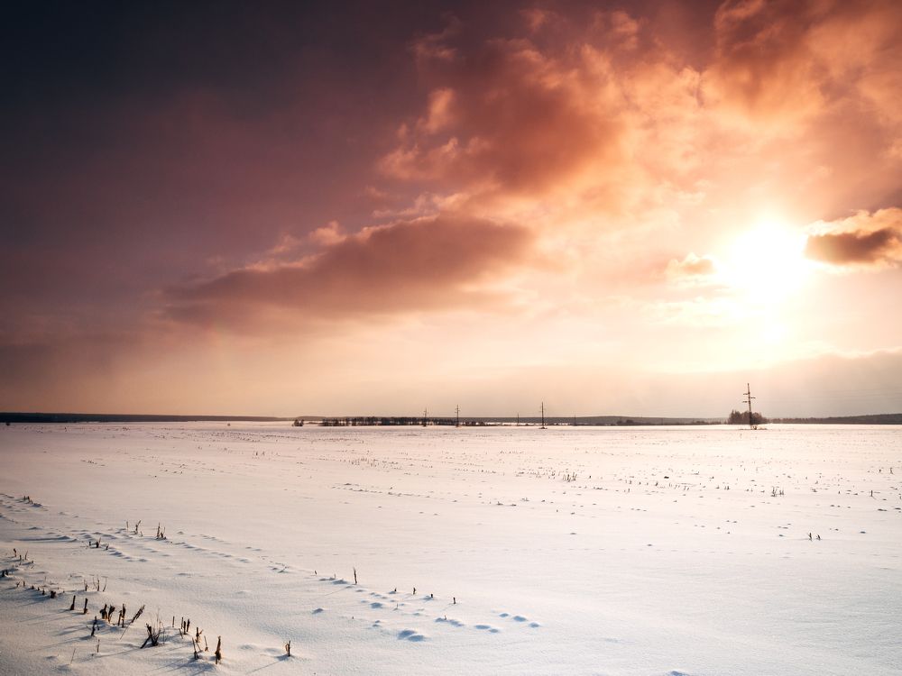 Photograph by Дмитрий Смирнов