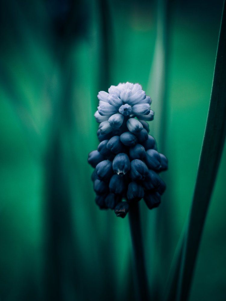 Photograph by Дмитрий Смирнов