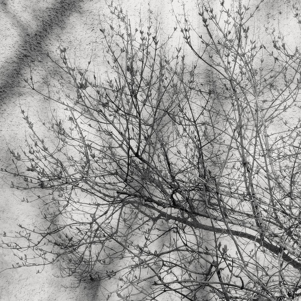 Рисунок на стене