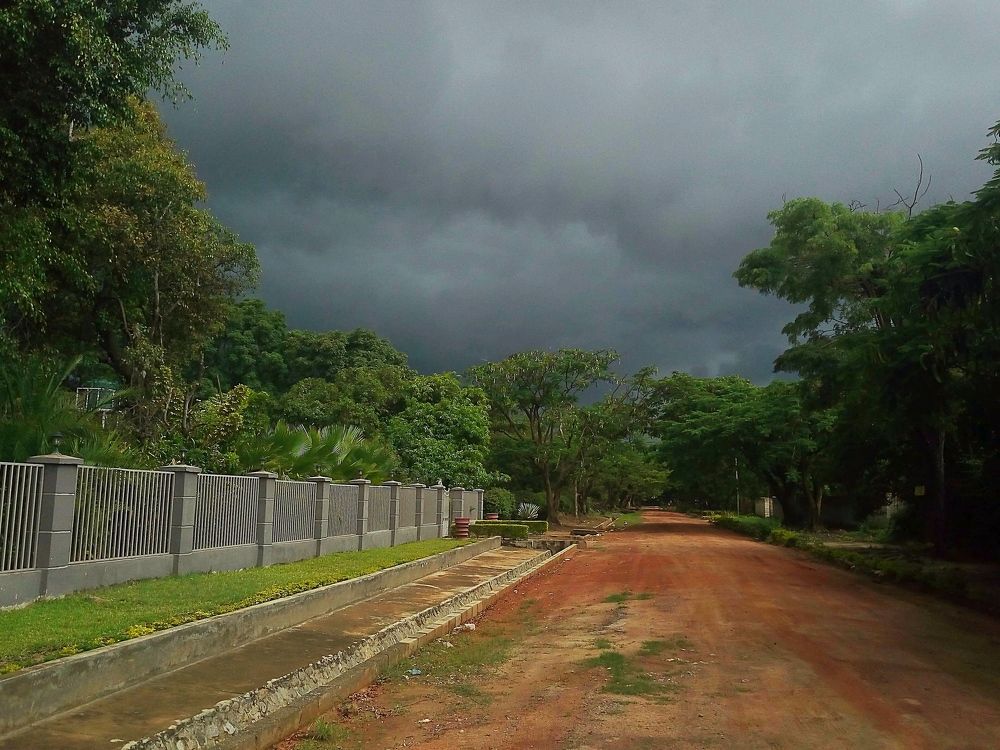 perfect cuddling weather