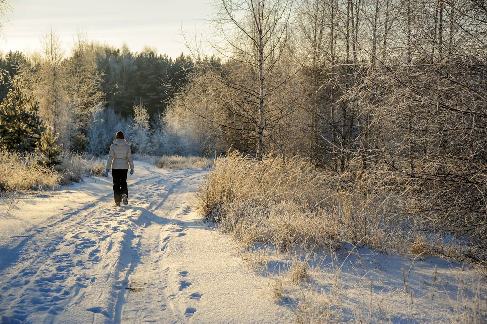 Дорога в зиму.