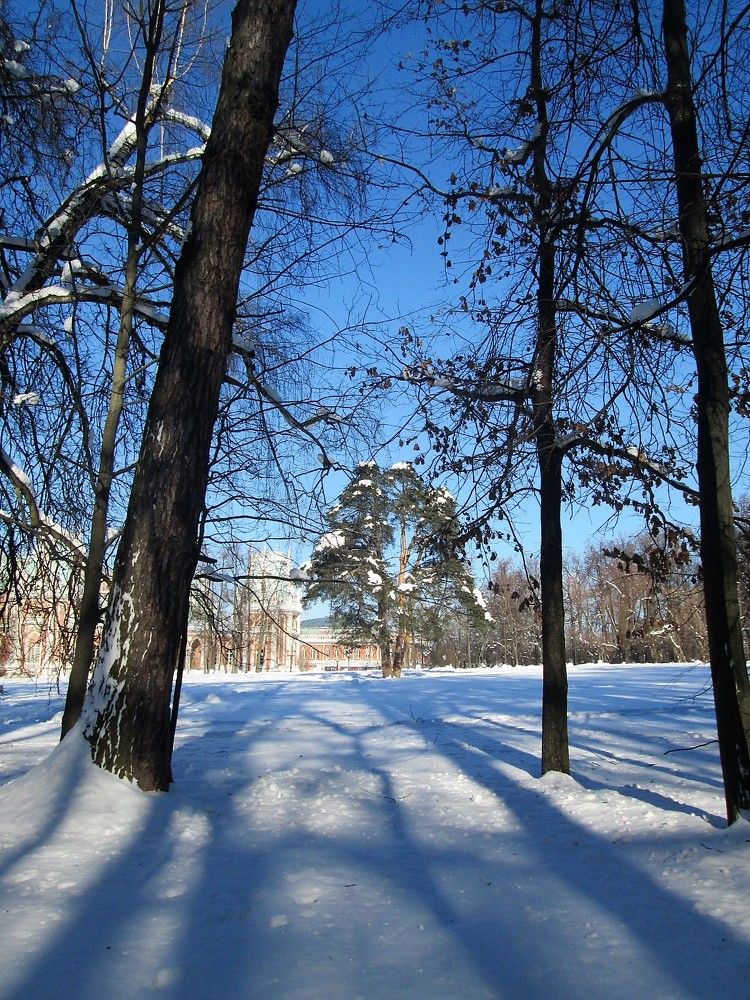 Парк Царицино