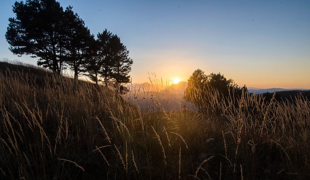 Вечерняя прелюдия