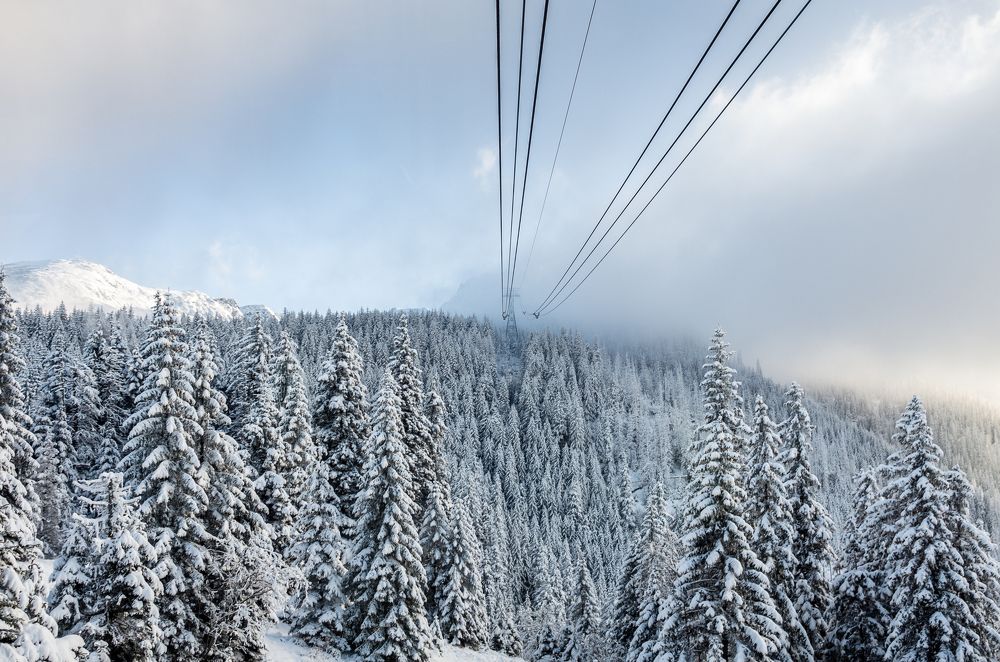 Только вперед