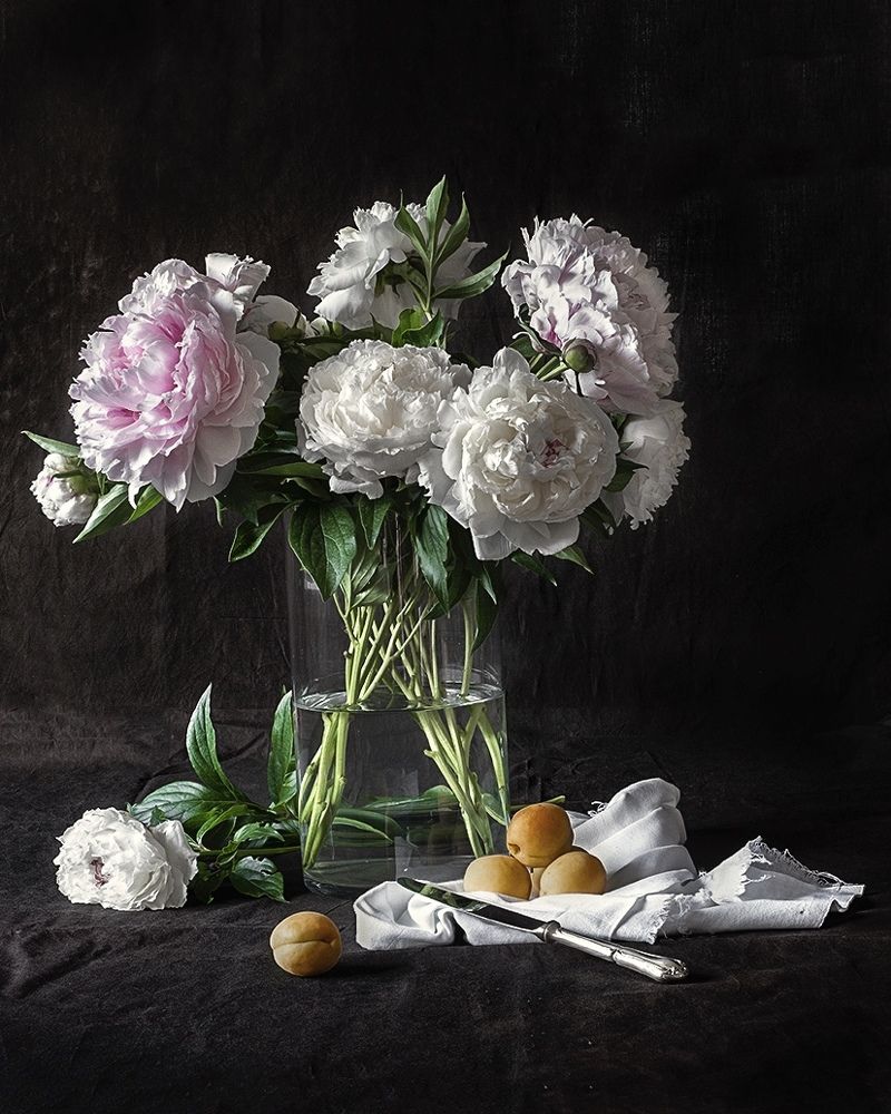 Любовь и пионы