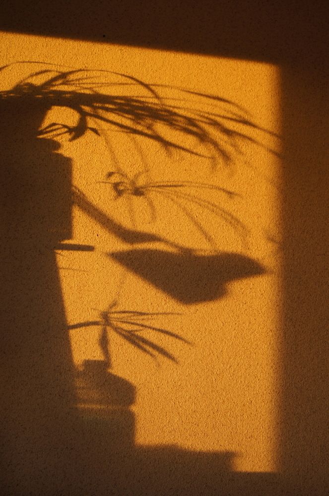 Photograph by Игорь Клопов