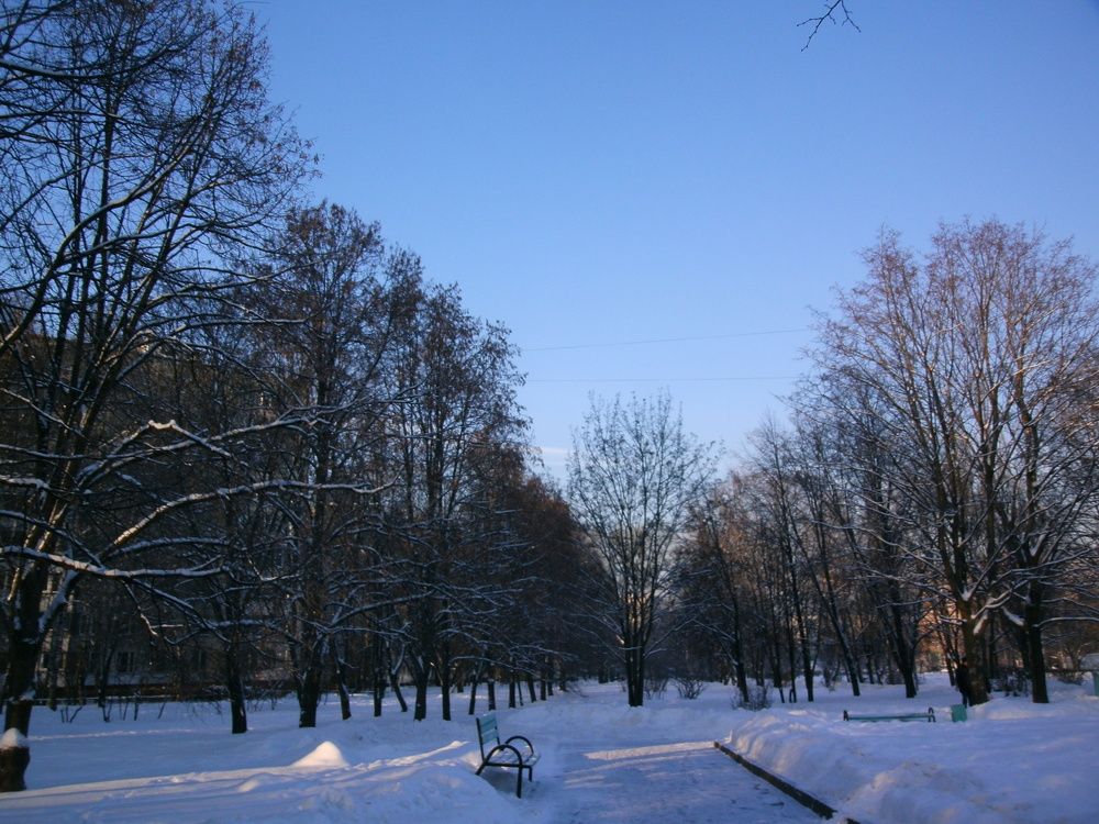 Зимний сквер
