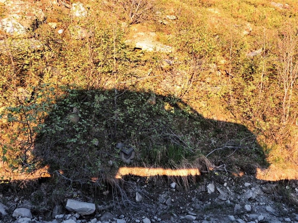 Patrol на склоне сопки