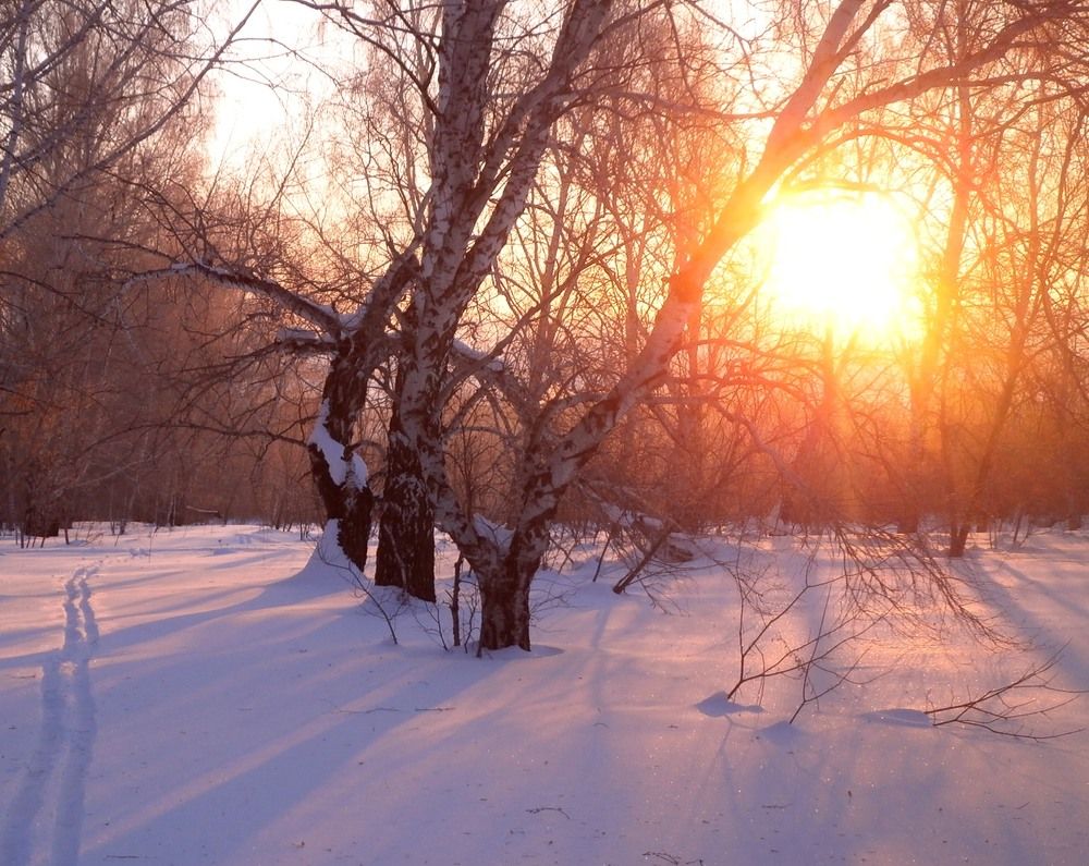 морозное утро