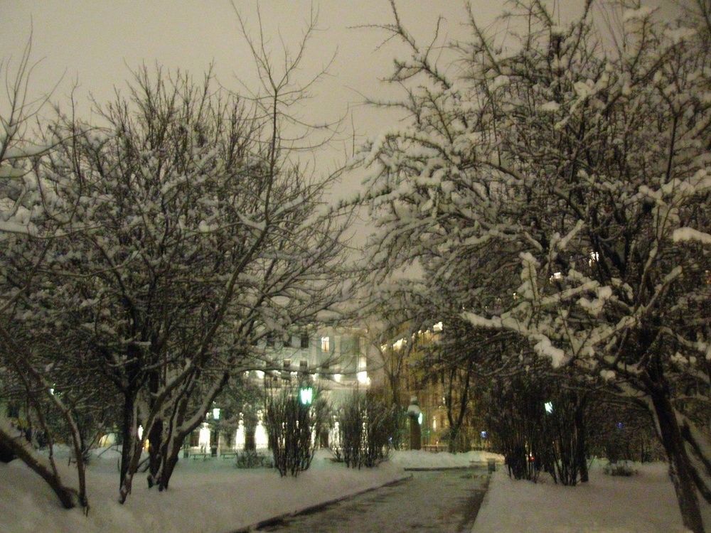 Зимняя аллея