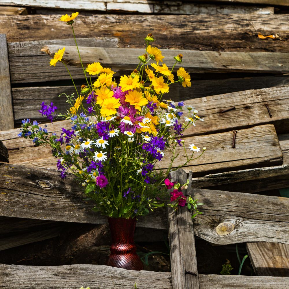Фотография автора Андрей Серый