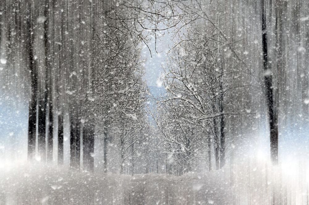 Blue Shades of Winter