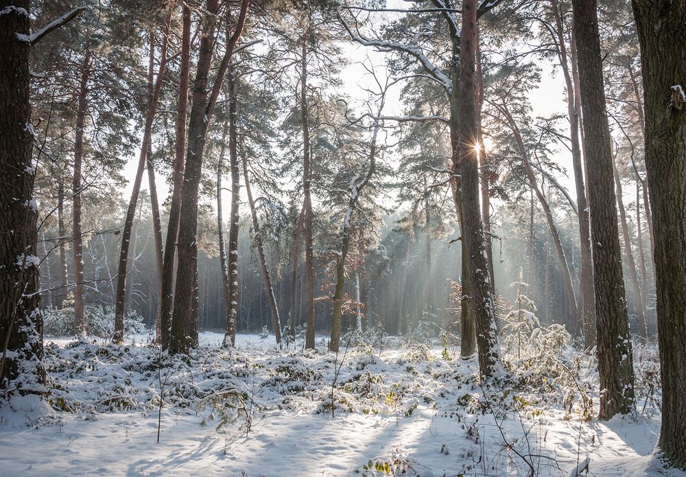 Photograph by Галина Нечипорук