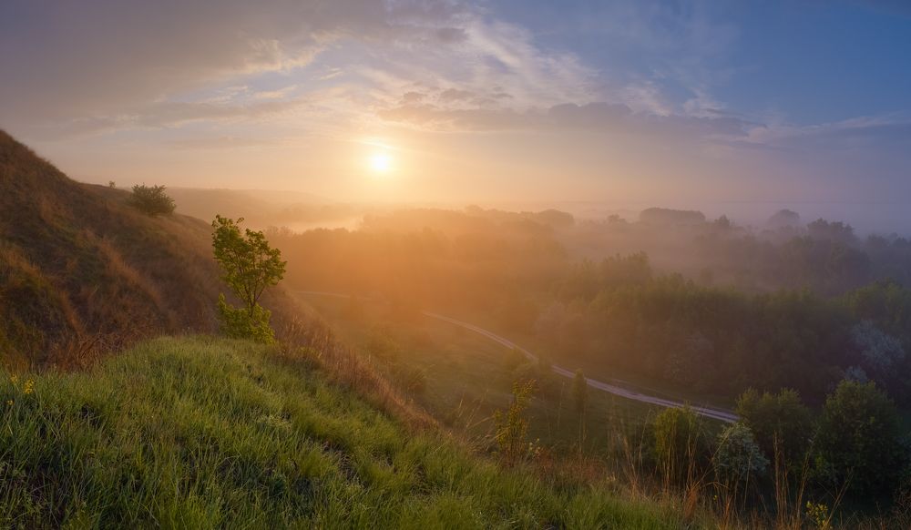 Золотой рассвет