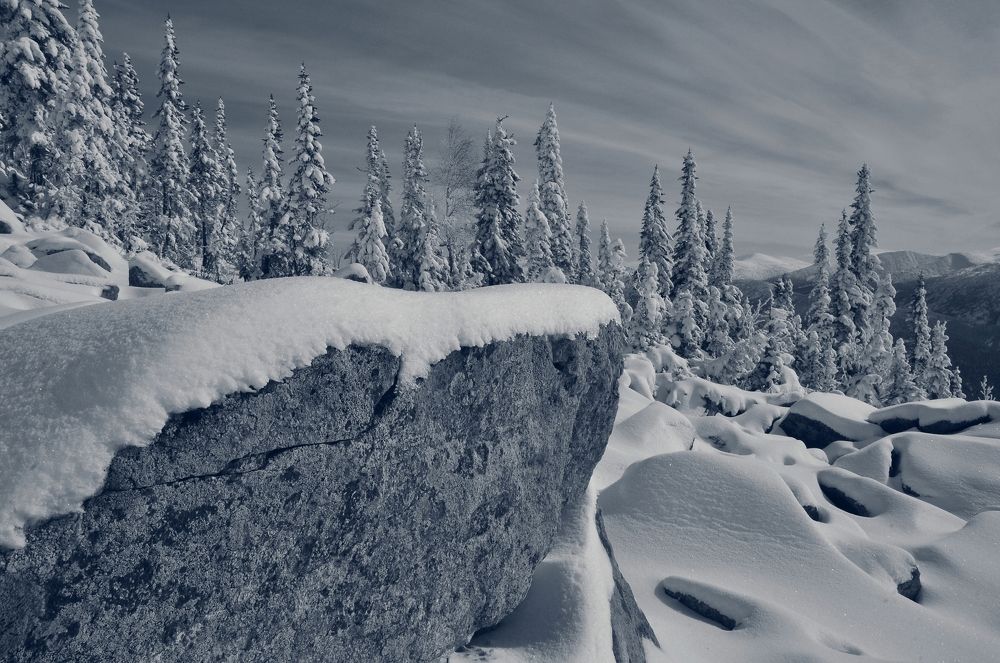 Поднебесным снегом