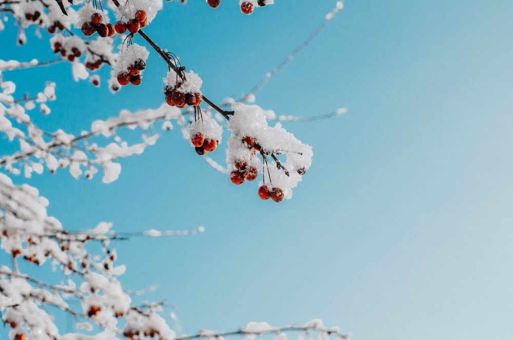 Photograph by Ксения Корсакова