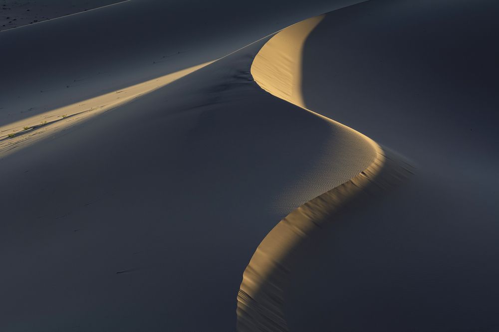 Свет и тень