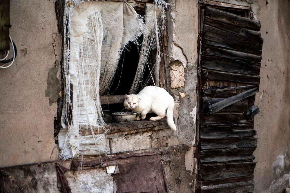 Photograph by Raimonds Romans