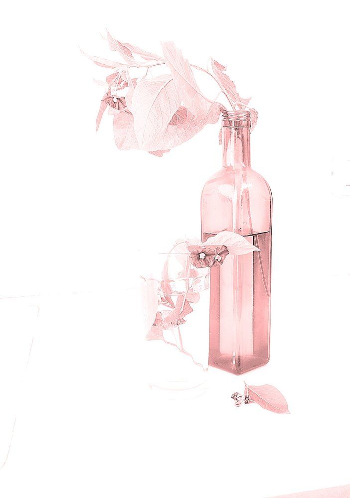 Розовый натюрморт