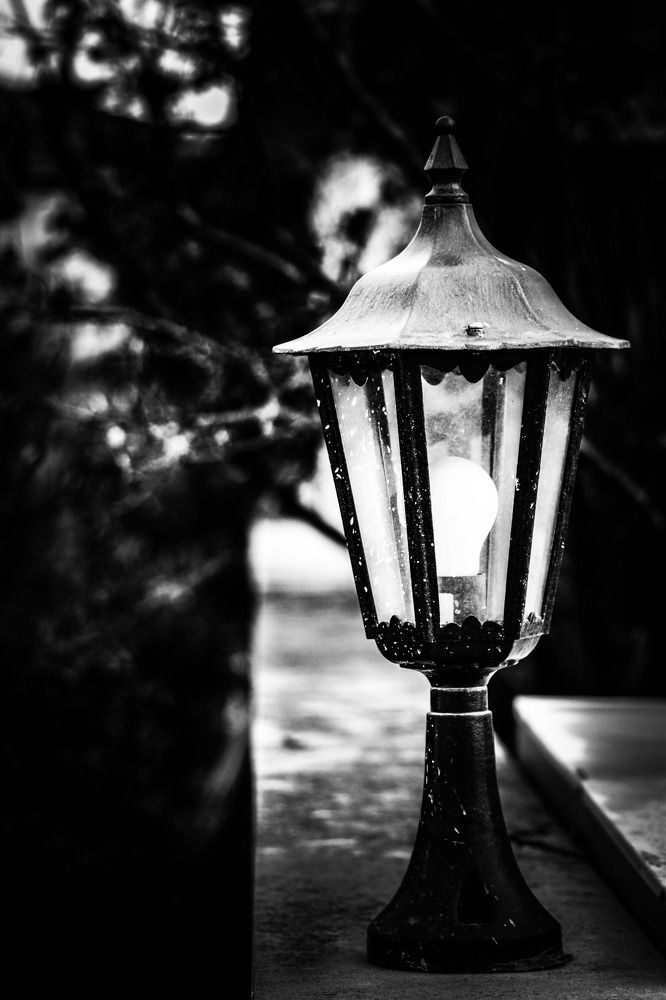 Photograph by Natalya  Kovalevskaya