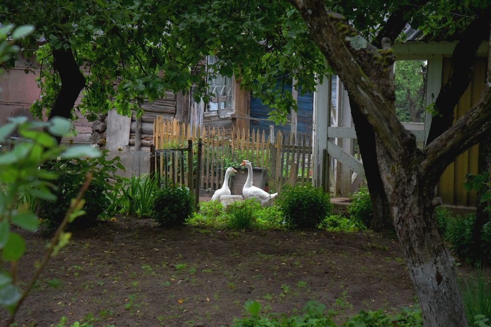 Жили у бабуси...