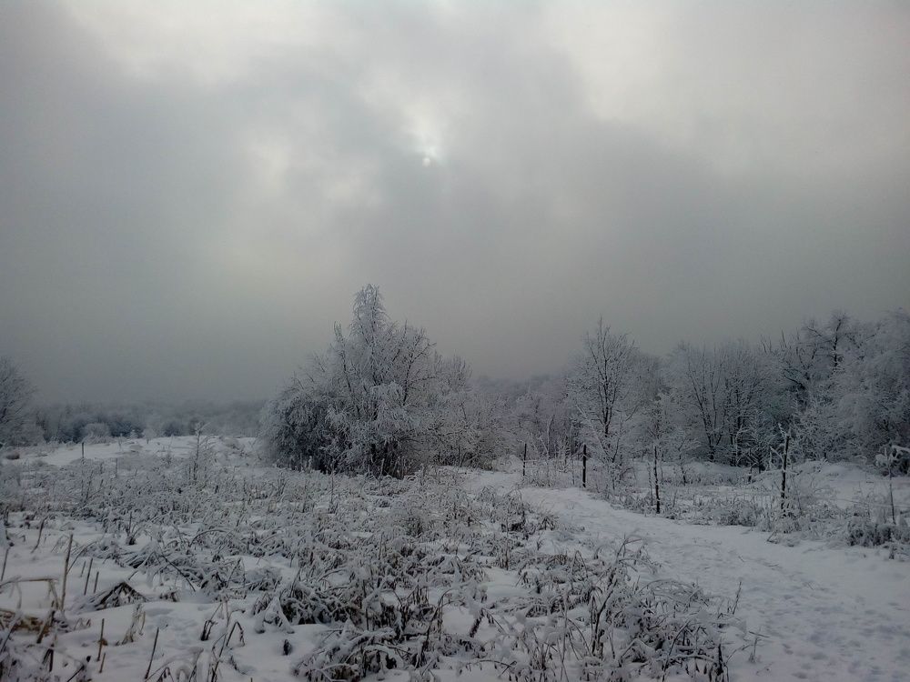 Перед бураном