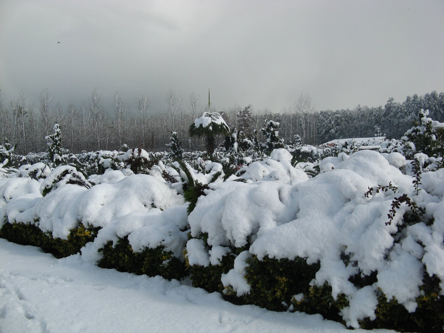 Photo #2790447
