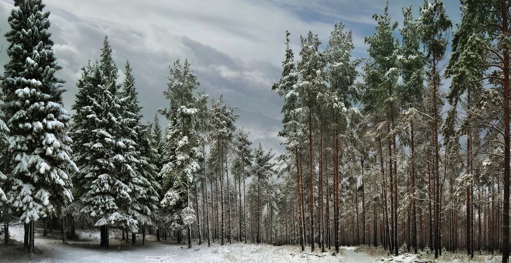 29 октября...