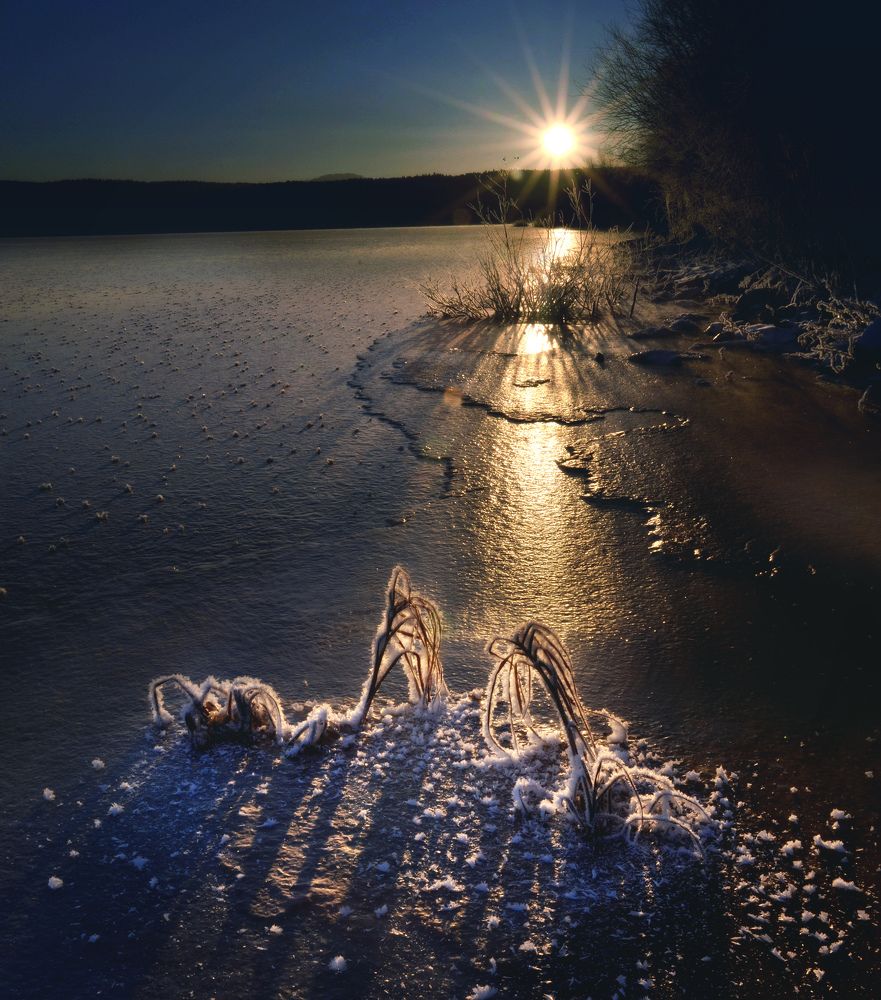 Ноябрьским утром...