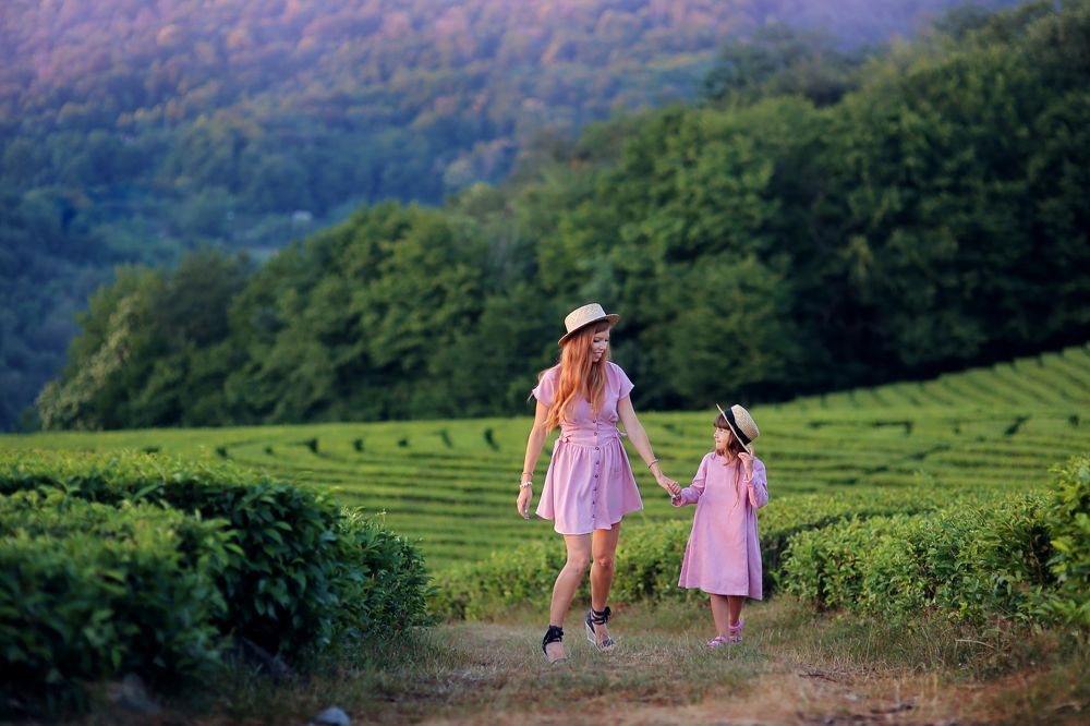 чайная плантация