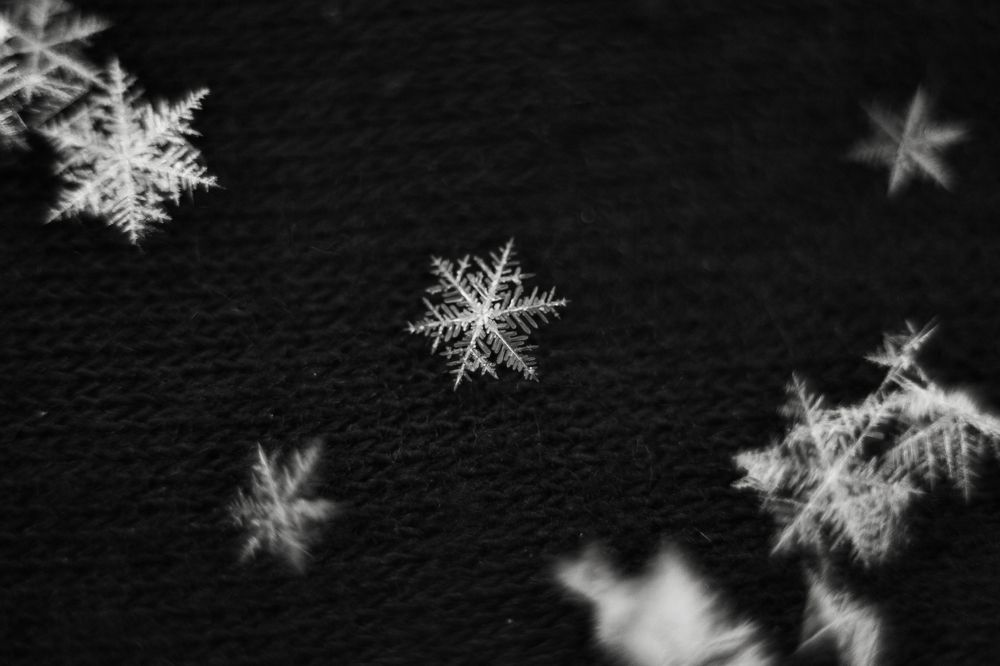 Снежное царство