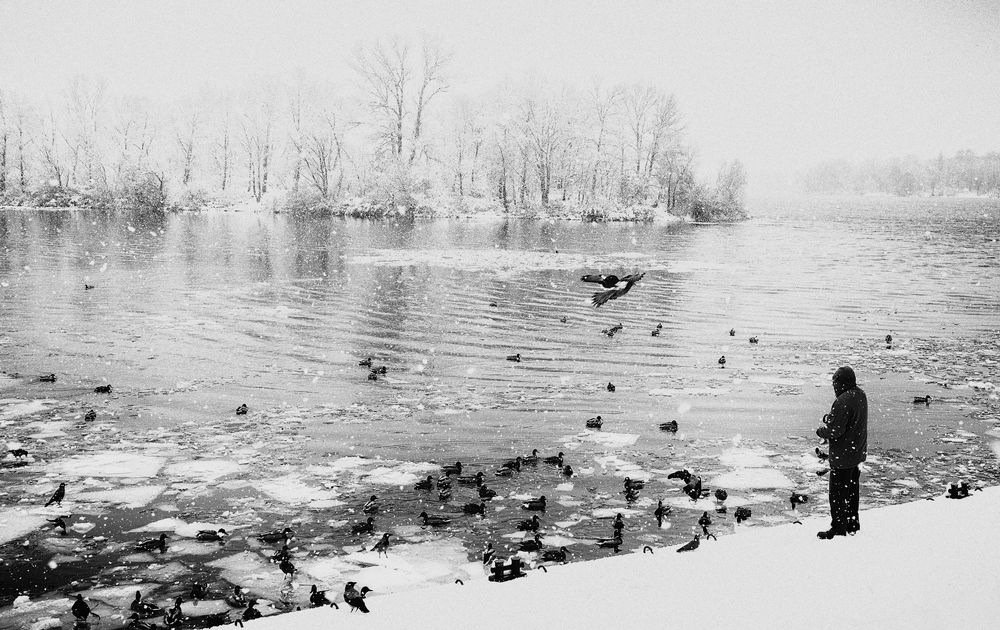 Photograph by Виталий Тимофеев