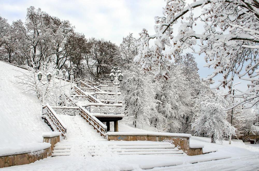 Снежный мотив