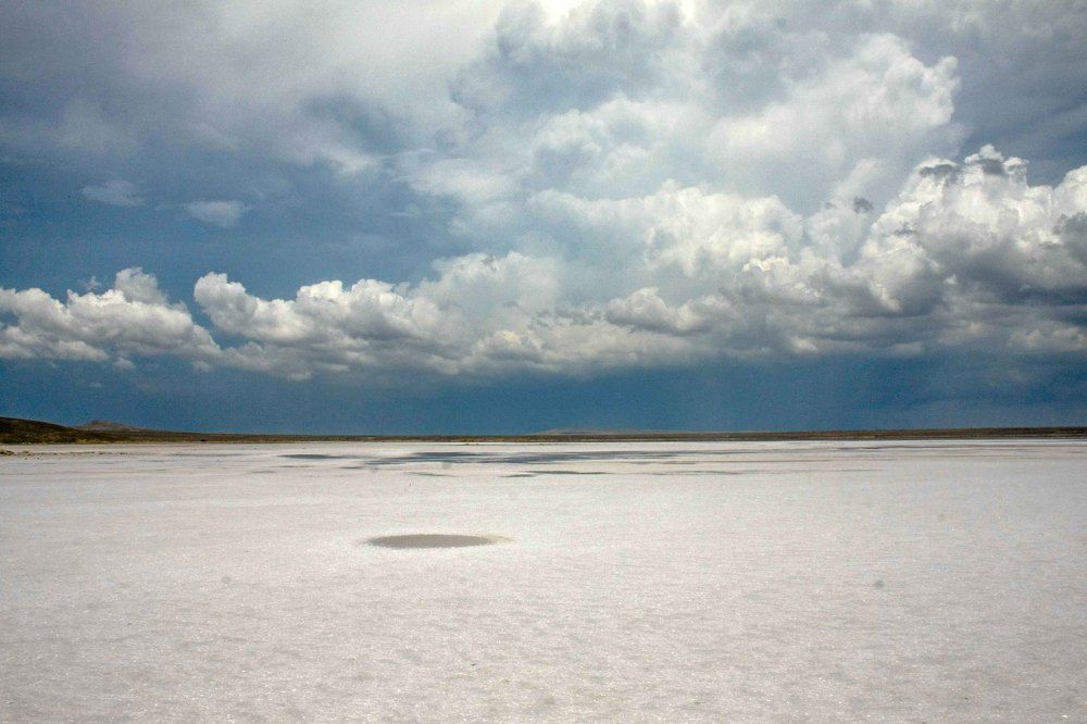 белое безмолвие