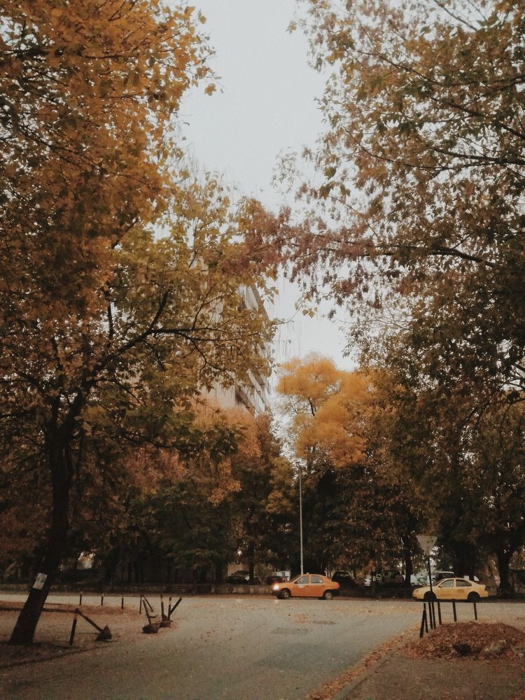 Autumn