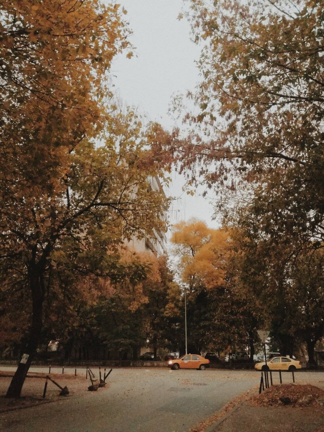 Autumn