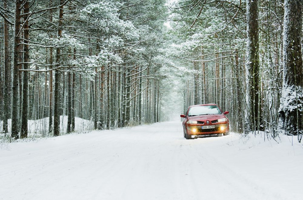 На заснеженной дороге.