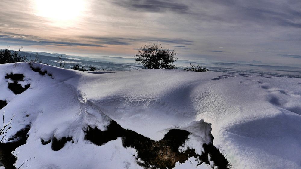 Photograph by Stefan Apostol