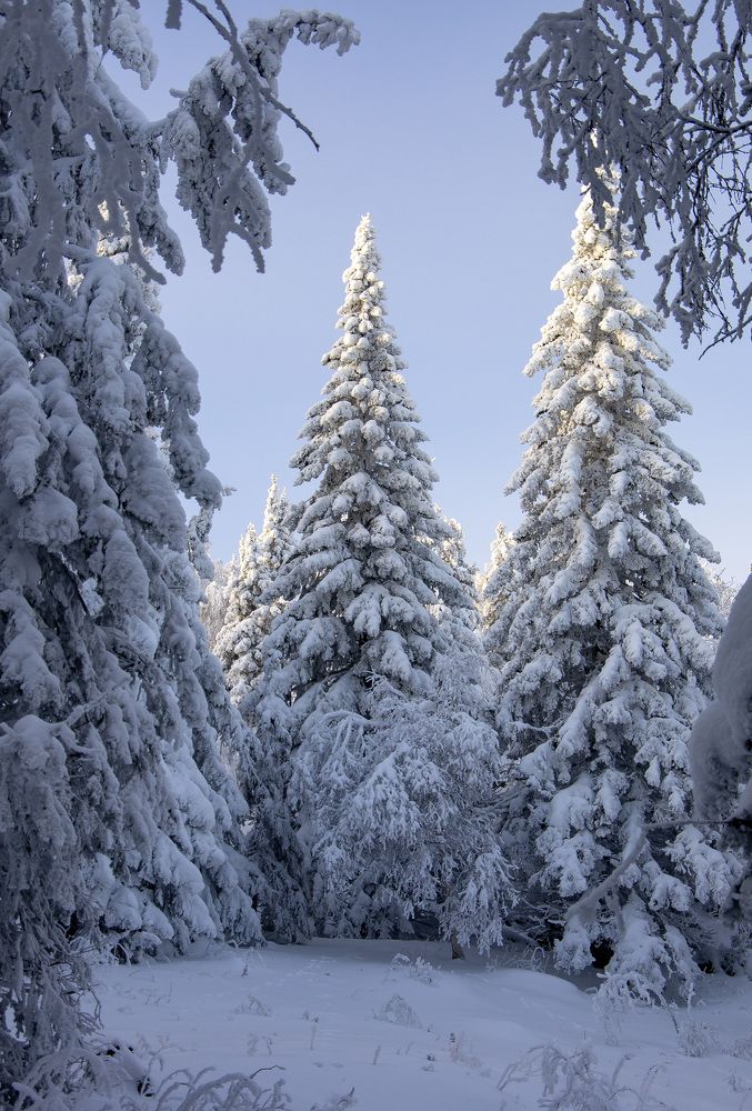 Во власти снега