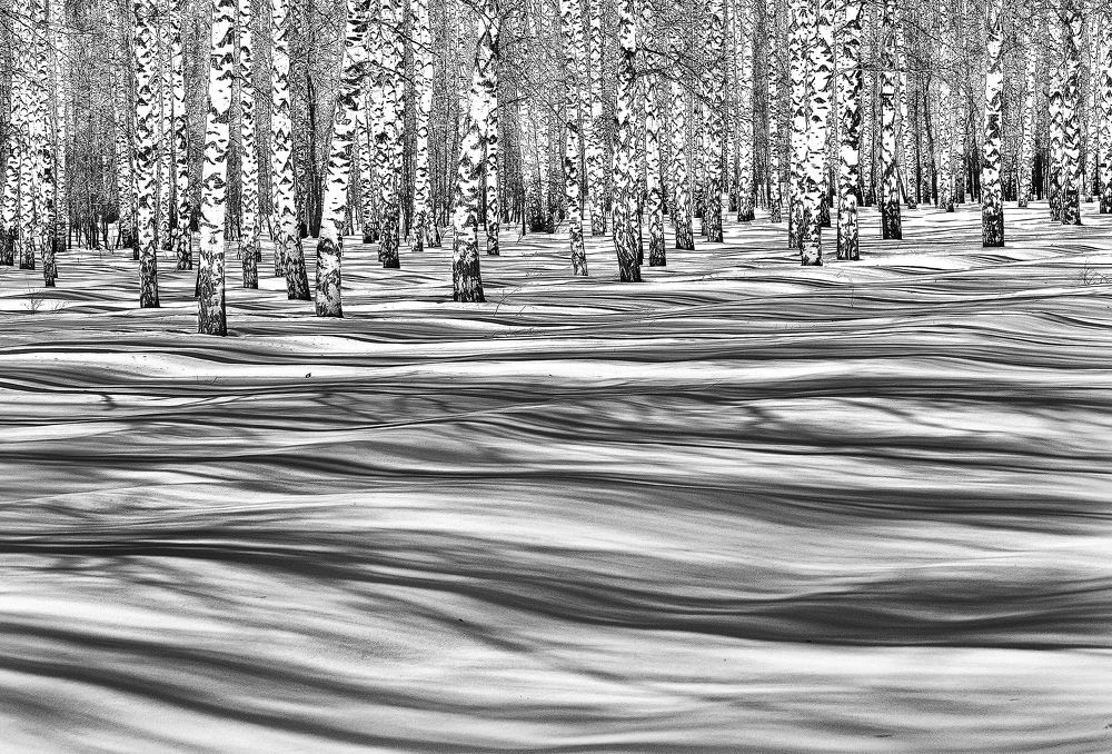 Мартовские тени