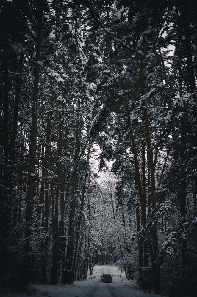 Photograph by Андрей Баранчук