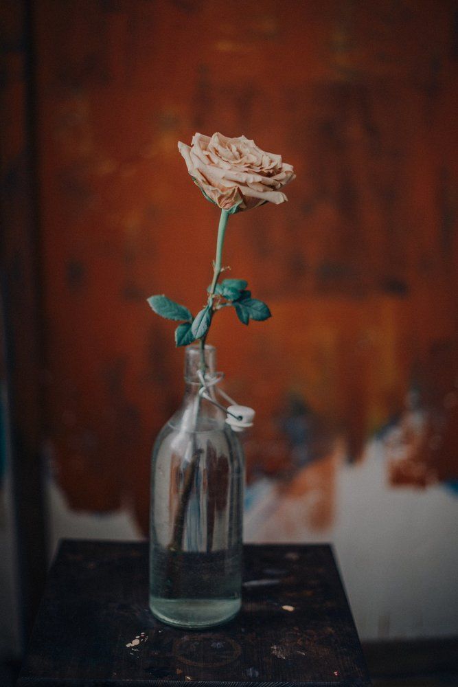 Photograph by Василевская Марина