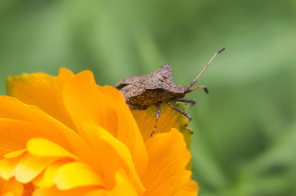 Photograph by Ekaterina Fadeeva