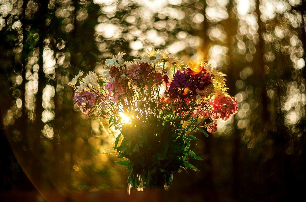 Photograph by Andrey Rut