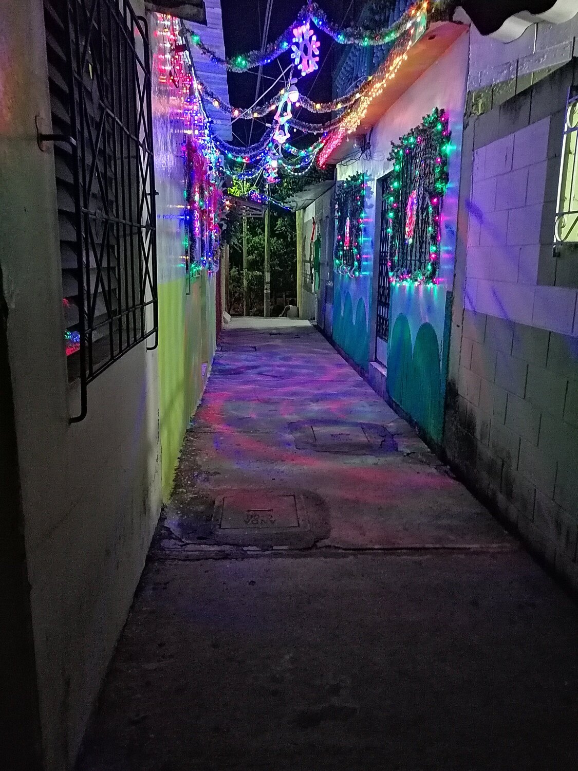 TIERNA NAVIDAD