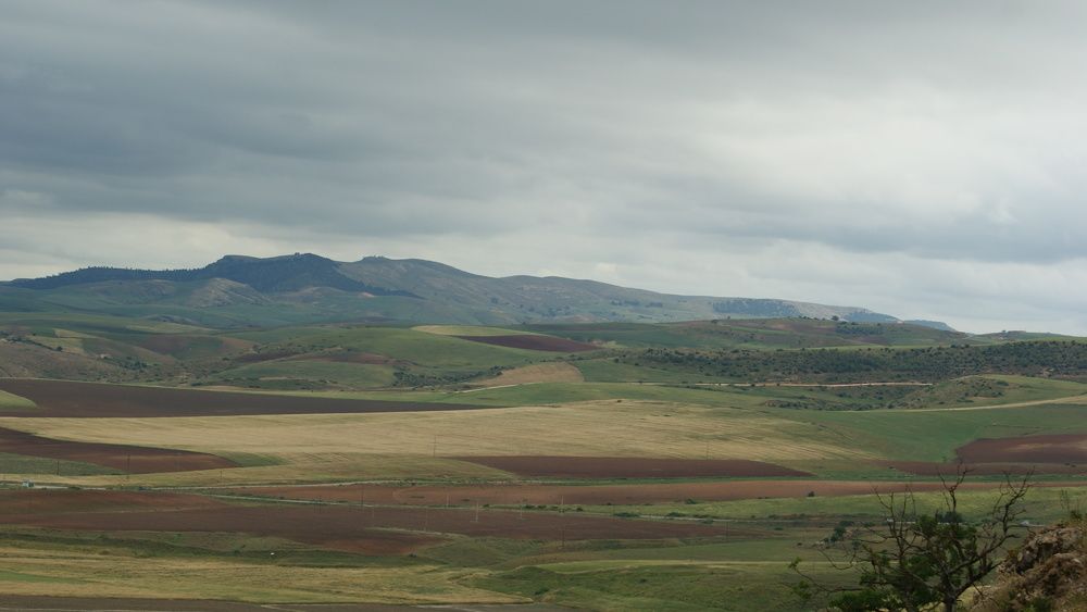 Open Land
