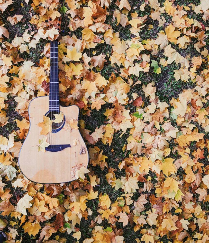 Autumn Guitar