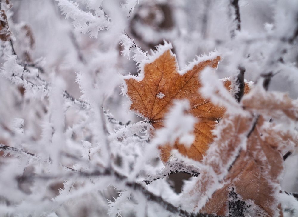 Осень в объятиях зимы